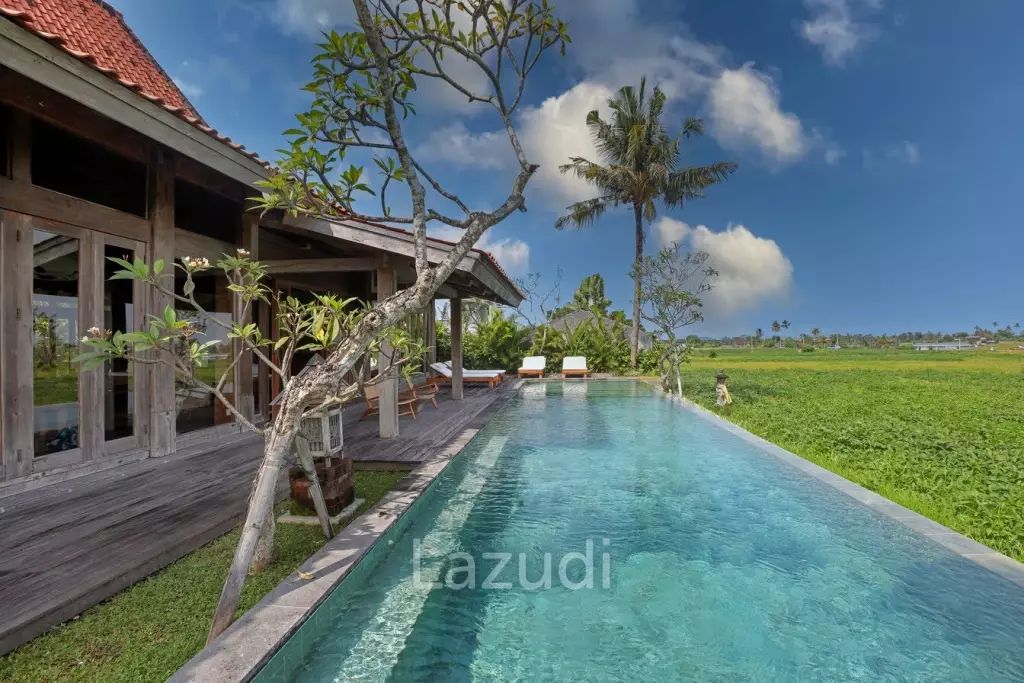 SPACIOUS VILLA WITH PANORAMIC RICE FIELD VIEWS IN NYANYI