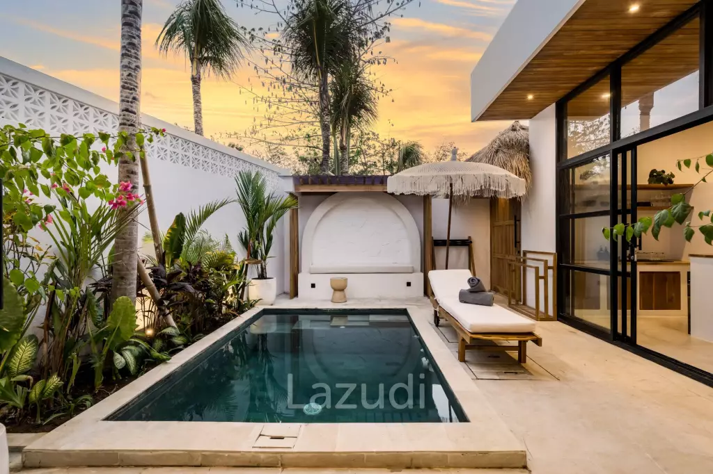 Great Investment 1 bedder in Thriving Bingin