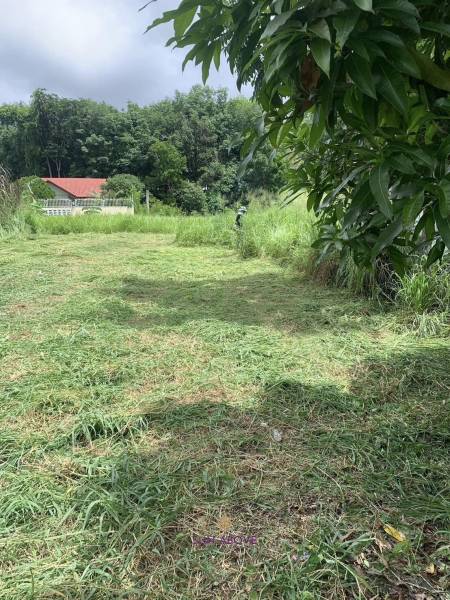 1,534.4 SQ.M Land For Sale In Chalong