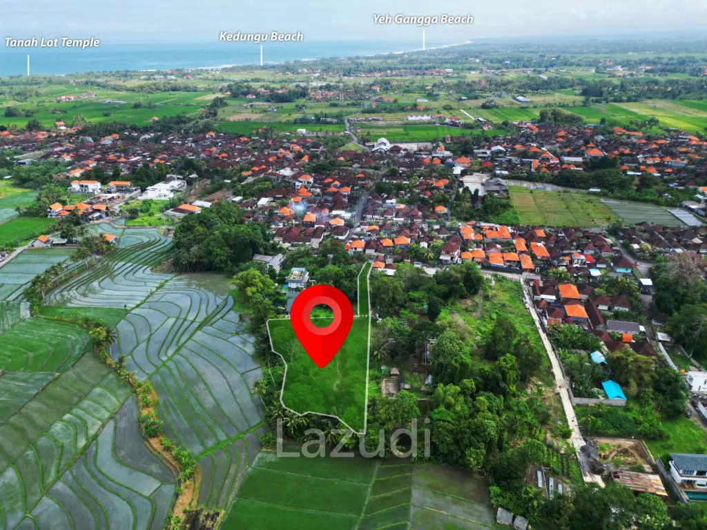 Exclusive Freehold Land in Tanah Lot: Ideal for Luxury Villa Development