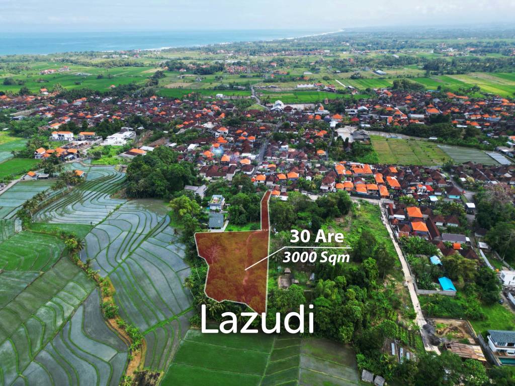 Exclusive Freehold Land in Tanah Lot: Ideal for Luxury Villa Development