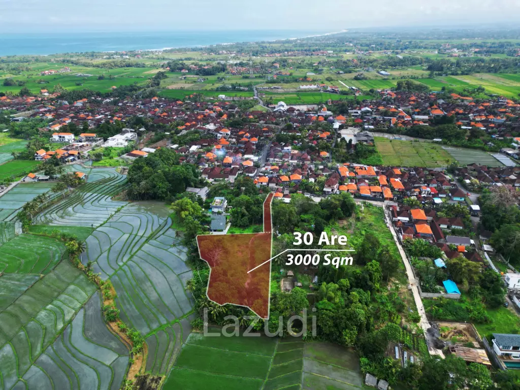 Exclusive Freehold Land in Tanah Lot: Ideal for Luxury Villa Development