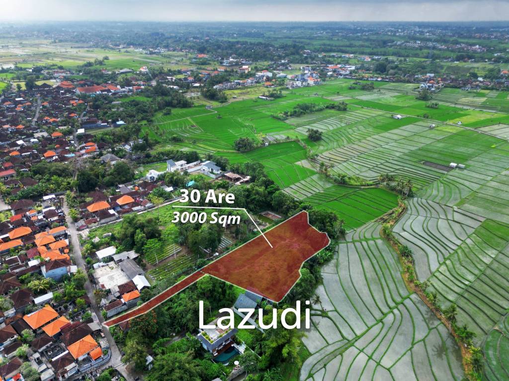 Exclusive Freehold Land in Tanah Lot: Ideal for Luxury Villa Development