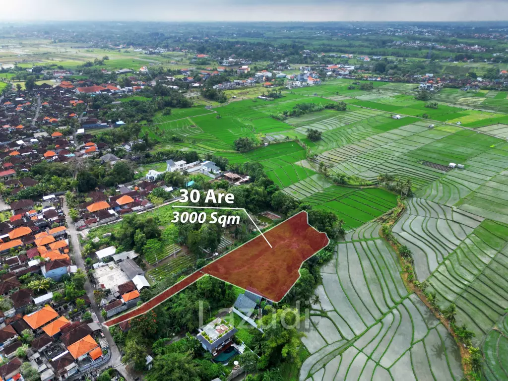 Exclusive Freehold Land in Tanah Lot: Ideal for Luxury Villa Development