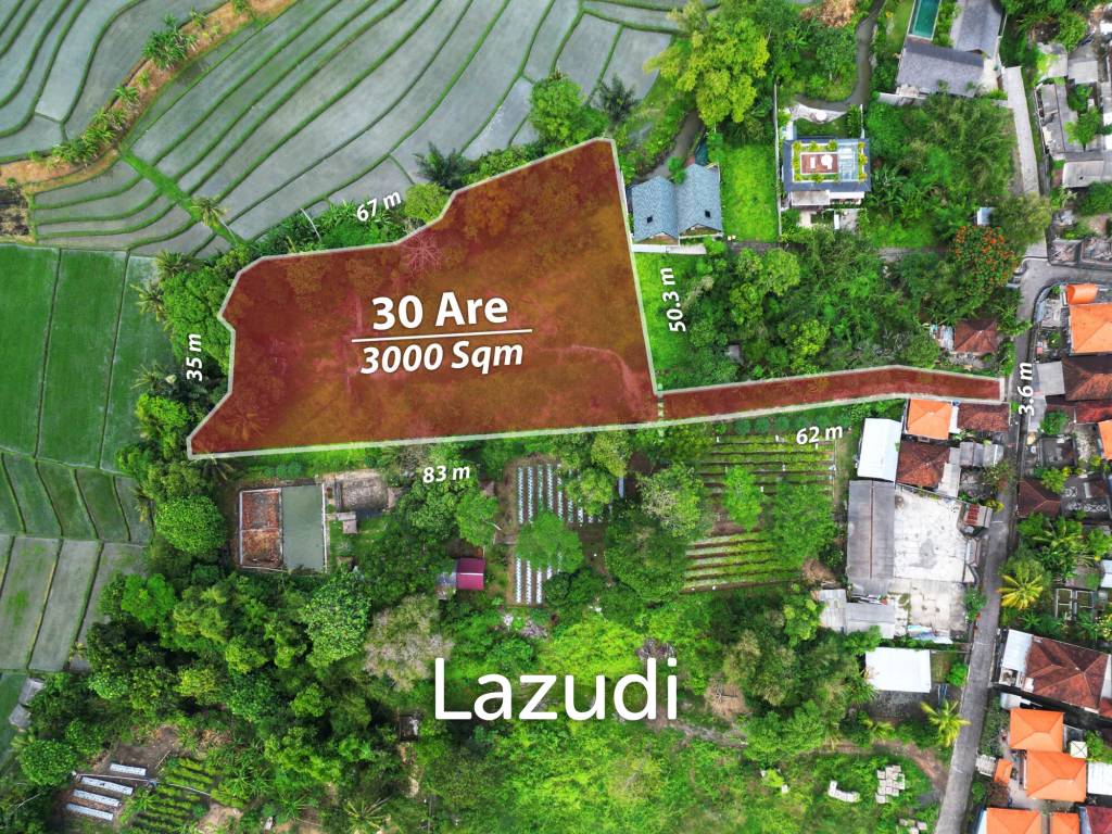 Exclusive Freehold Land in Tanah Lot: Ideal for Luxury Villa Development