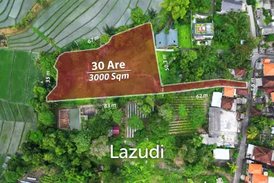 Exclusive Freehold Land in Tanah Lot: Ideal for Luxury Villa Development