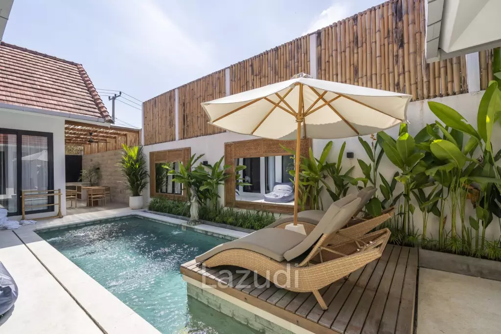 Charming Newly Renovated 4 Bedroom Villa in Berawa, Ideal Investment Opportunity