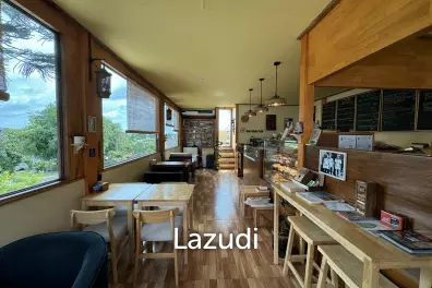 Italian Restaurant Business for Sale in Chaweng, Samui