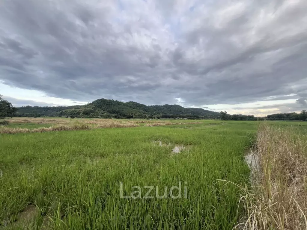 7 Rai Land For Sale With Mountain View in Huai Sak