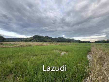 7 Rai Land For Sale With Mountain View in Huai Sak