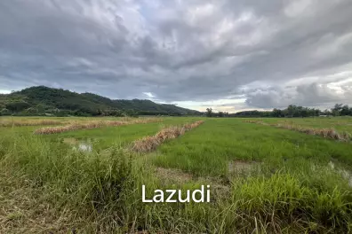 ขายที่ดิน 7 ไร่ ราคาถูก วิวภูเขาใน ต.ห้วยสัก เชียงราย