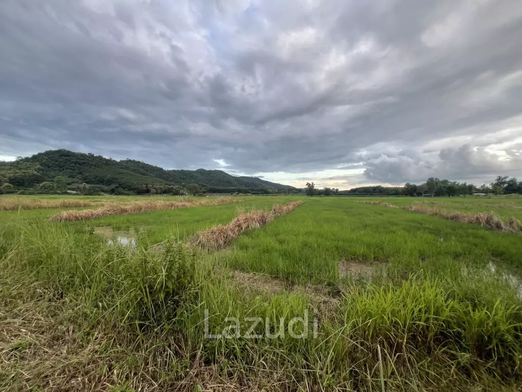 7 Rai Land For Sale With Mountain View in Huai Sak