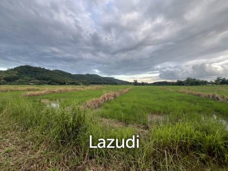 7 Rai Land For Sale With Mountain View in Huai Sak