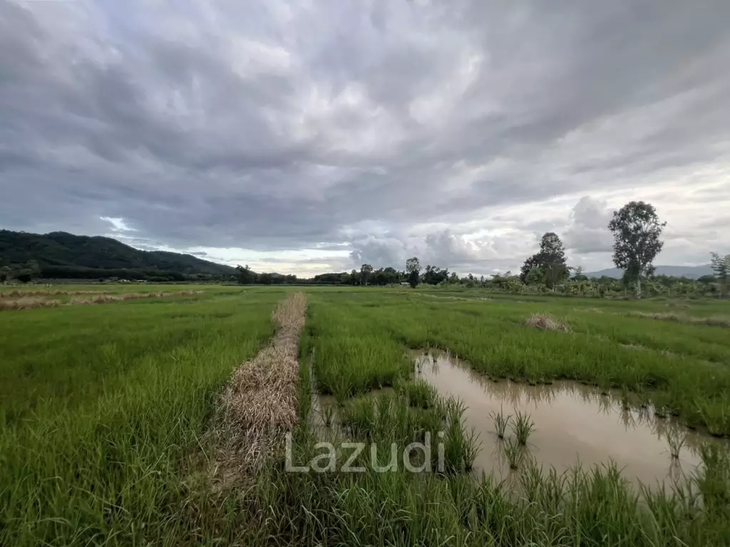 7 Rai Land For Sale With Mountain View in Huai Sak