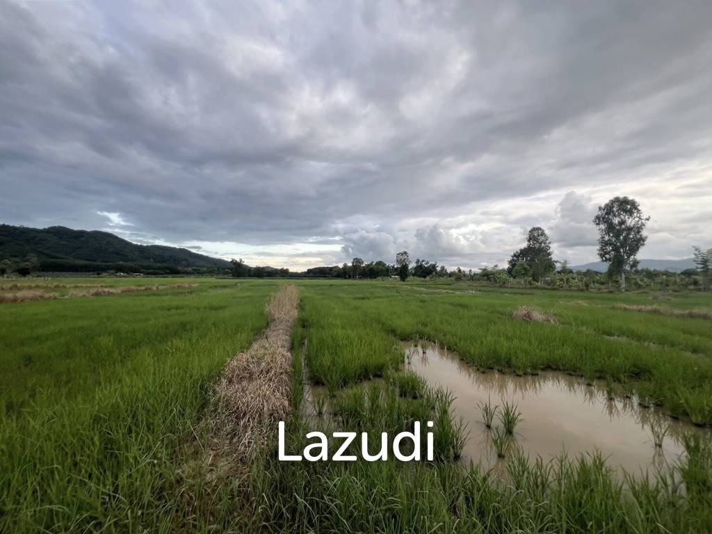 7 Rai Land For Sale With Mountain View in Huai Sak