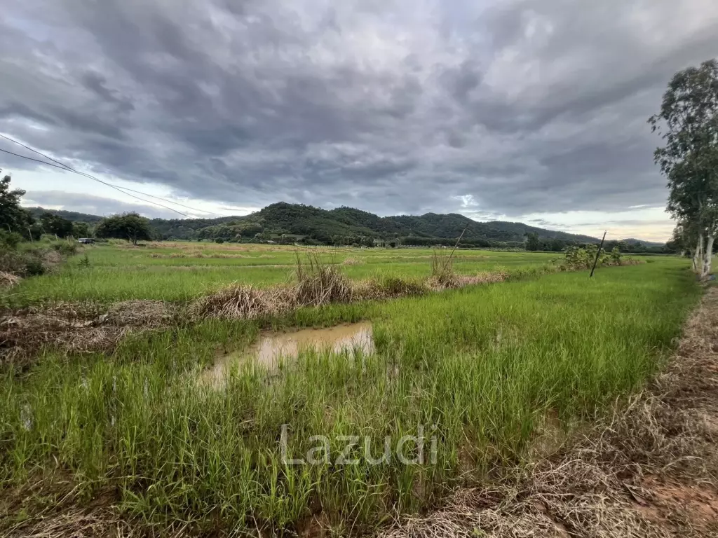 7 Rai Land For Sale With Mountain View in Huai Sak