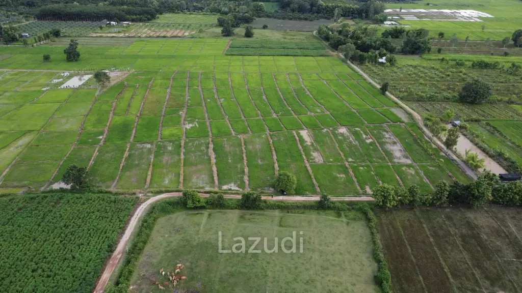 7 Rai Land For Sale With Mountain View in Huai Sak