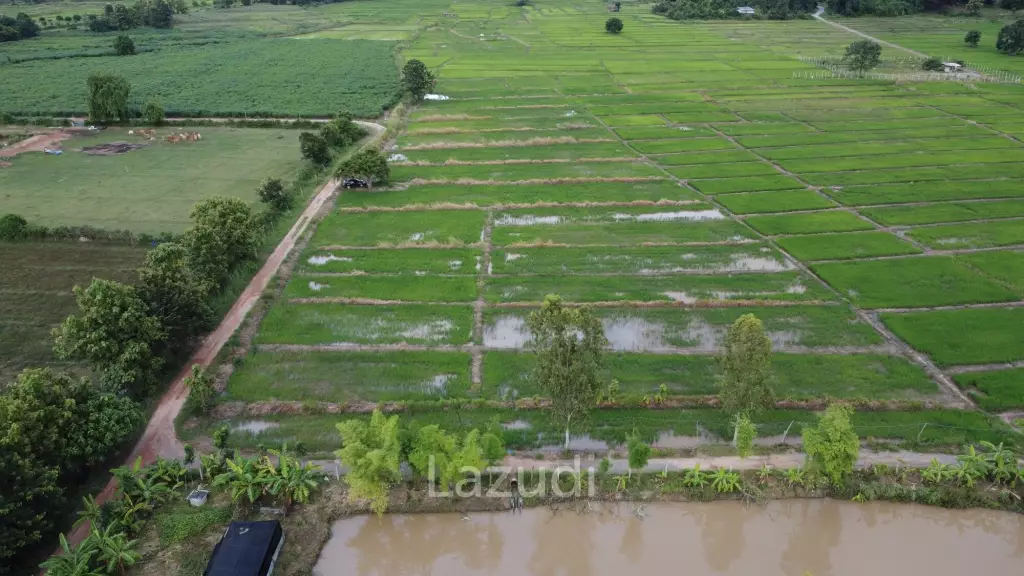 7 Rai Land For Sale With Mountain View in Huai Sak