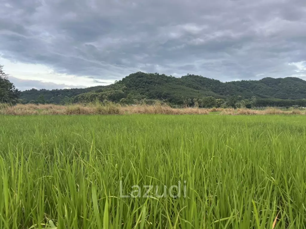 7 Rai Land For Sale With Mountain View in Huai Sak