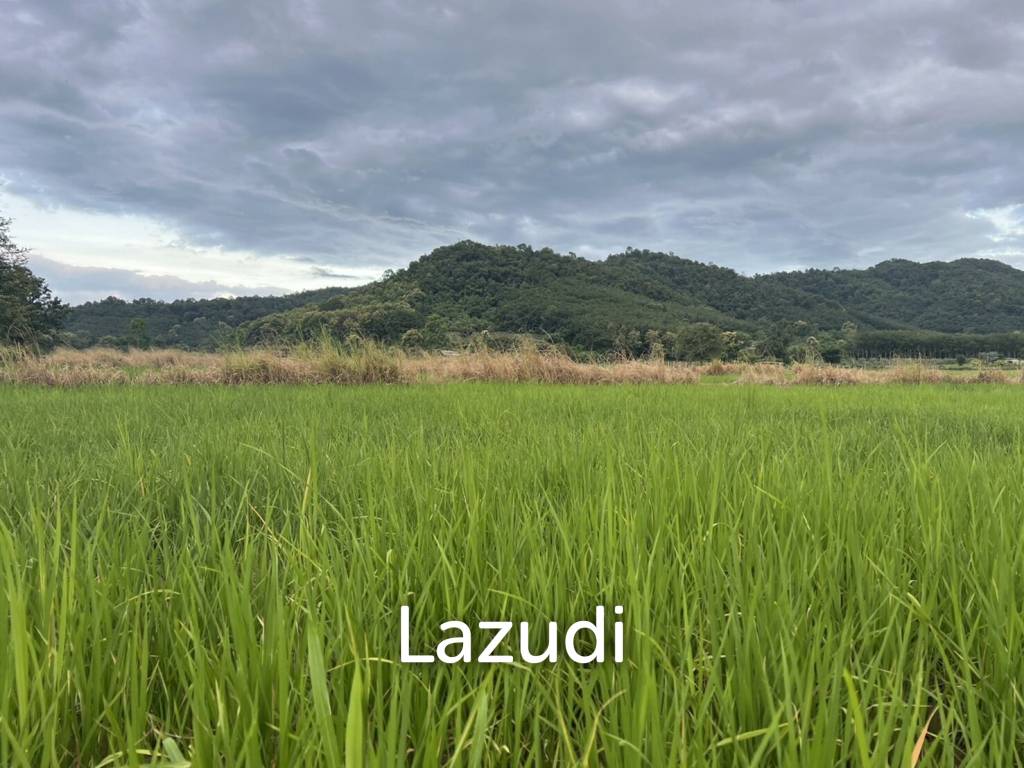 7 Rai Land For Sale With Mountain View in Huai Sak