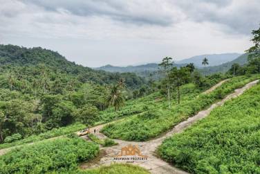 Luxurious Land for Sale in Taling Ngam Ko Samui