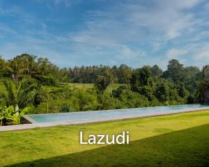 RIVERFRONT VILLA WITH JUNGLE AND RICE FIELDS VIEWS