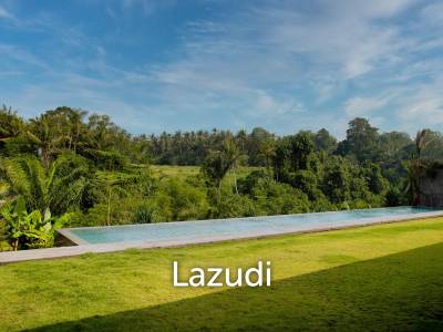 RIVERFRONT VILLA WITH JUNGLE AND RICE FIELDS VIEWS
