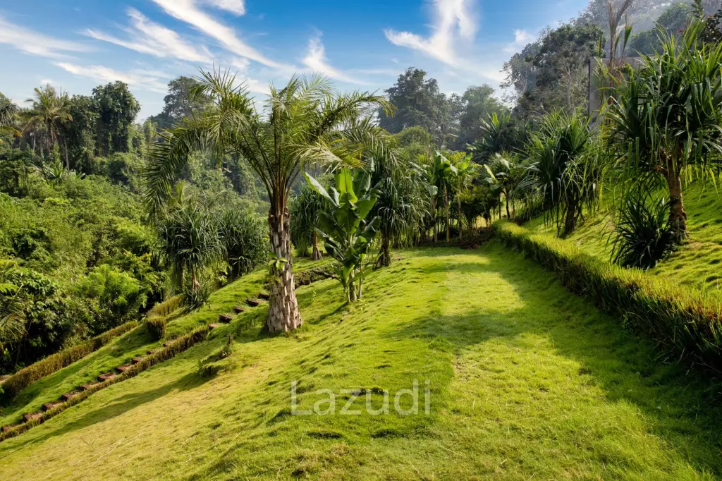 RIVERFRONT VILLA WITH JUNGLE AND RICE FIELDS VIEWS