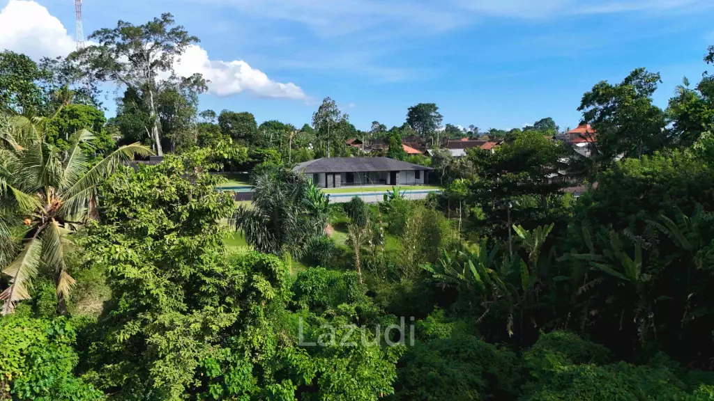 RIVERFRONT VILLA WITH JUNGLE AND RICE FIELDS VIEWS