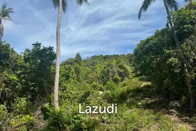 Exceptional Development Opportunity: 22 Rai Sea and Mountain View Land in Northern Koh Phangan