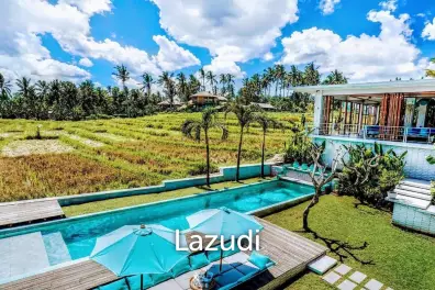 Modern Villa with Ricefield Views for Lease in Kedungu