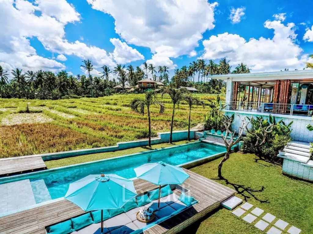 Modern Villa with Ricefield Views for Lease in Kedungu