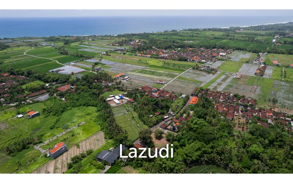 Prime Riverside Plot for Sale in Kedungu, Tabanan