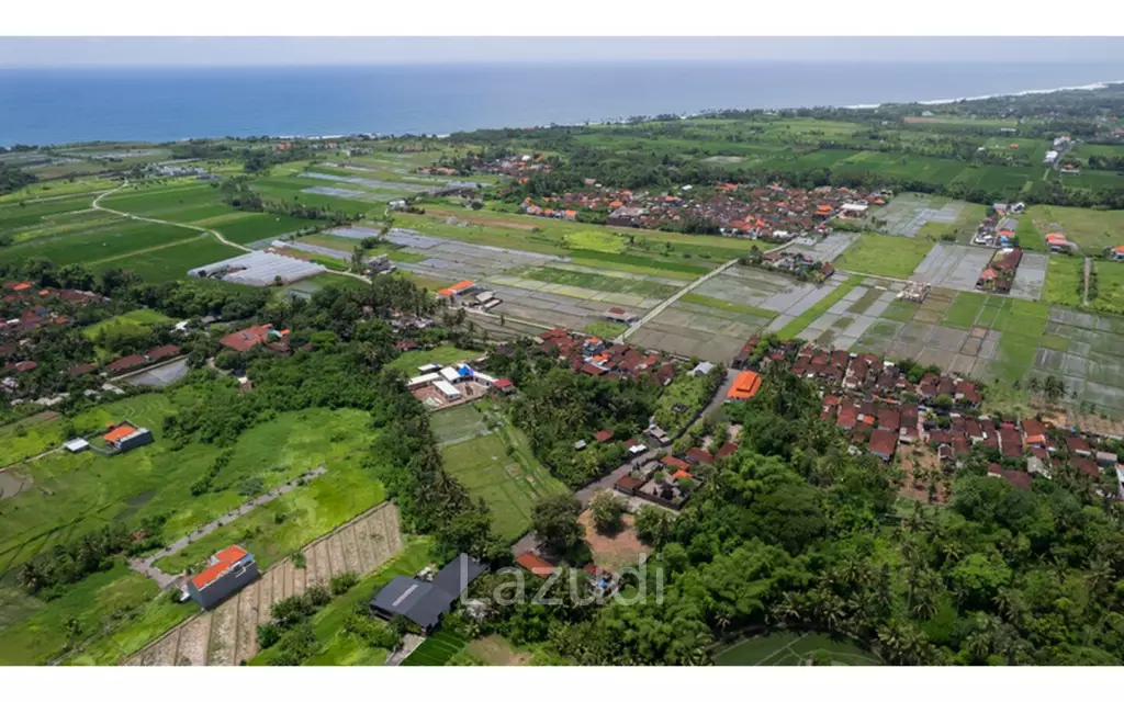 Prime Riverside Plot for Sale in Kedungu, Tabanan