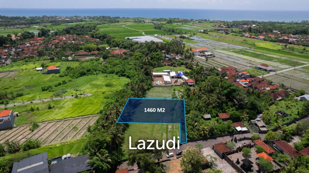 Prime Riverside Plot for Sale in Kedungu, Tabanan