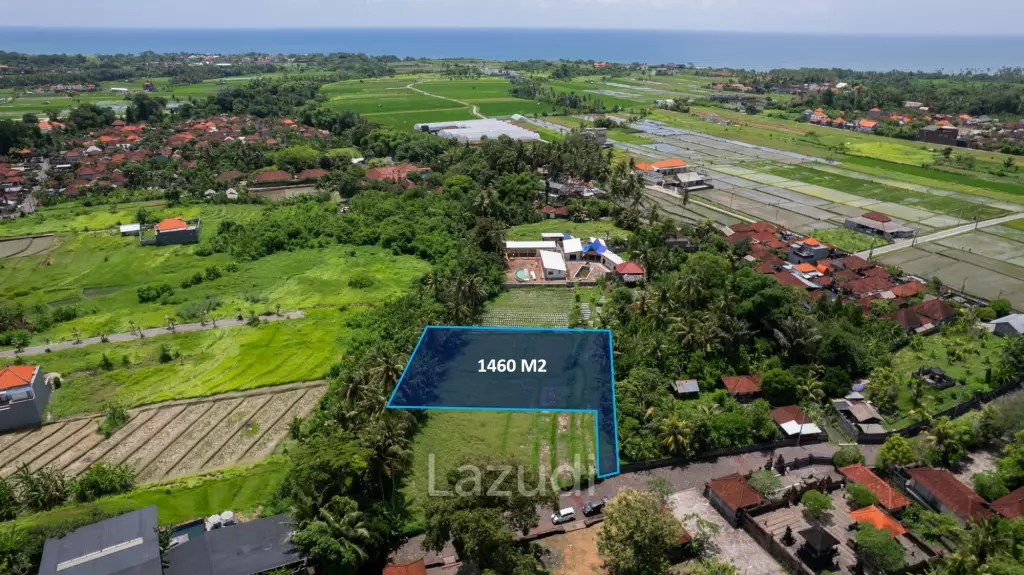 Prime Riverside Plot for Sale in Kedungu, Tabanan