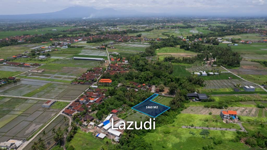 Prime Riverside Plot for Sale in Kedungu, Tabanan