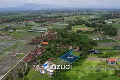Prime Riverside Plot for Sale in Kedungu, Tabanan