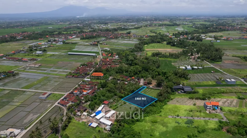 Prime Riverside Plot for Sale in Kedungu, Tabanan
