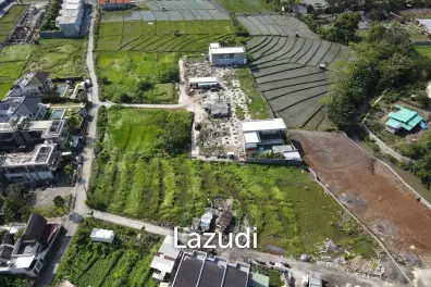 Prime Land for Lease in Berawa, Canggu