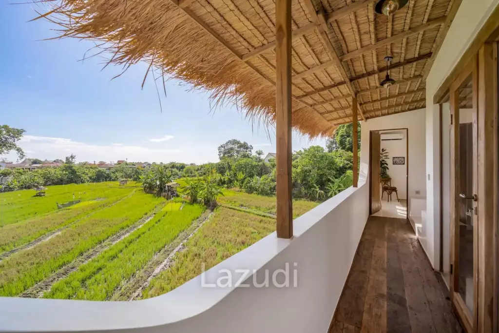 Mediterranean Style 5 Bedroom Villa in Umalas, Prime Living and Investment Opportunity with Rice Field Views