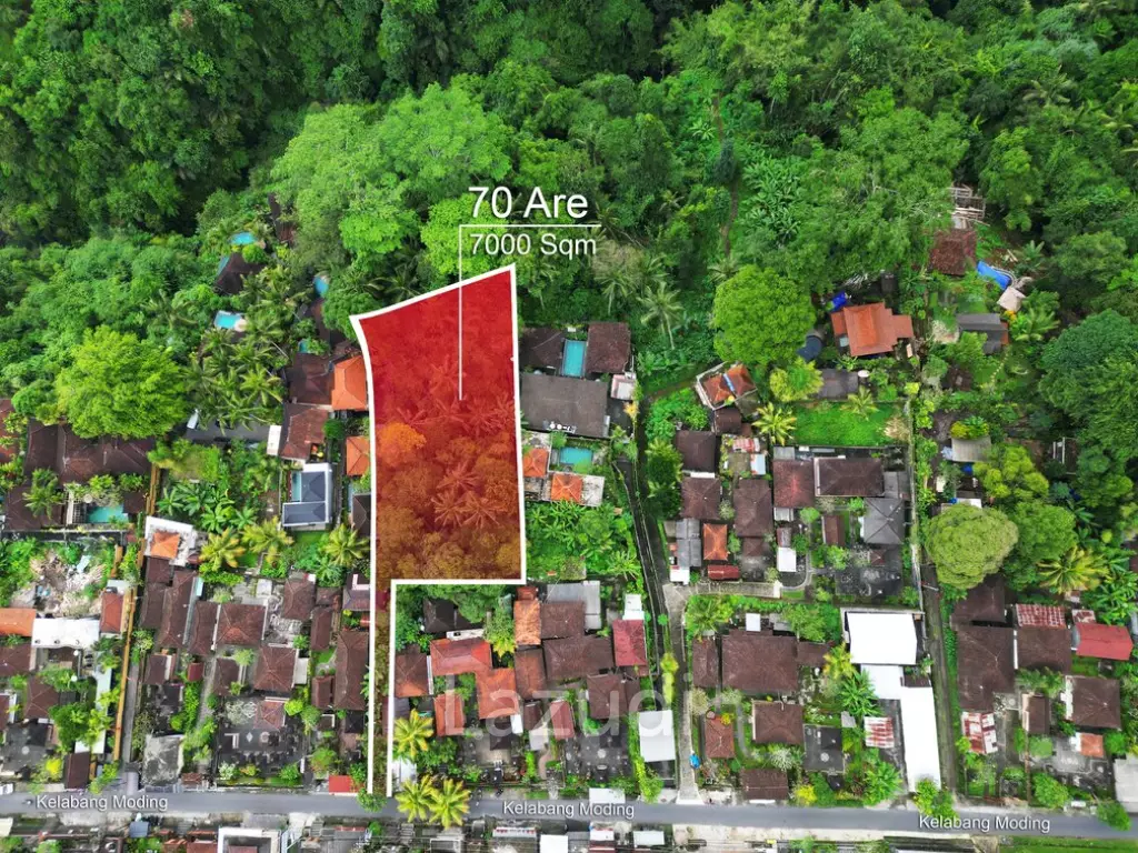 Envision Paradise: Secluded Freehold 70 Are Land in Ubud
