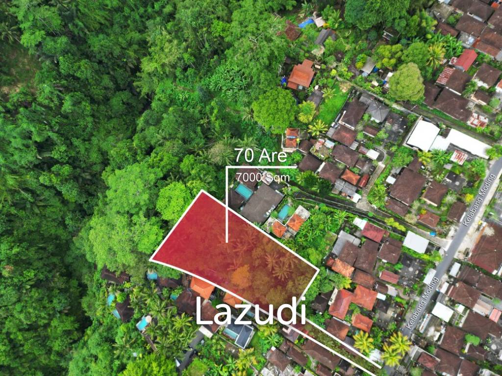 Envision Paradise: Secluded Freehold 70 Are Land in Ubud