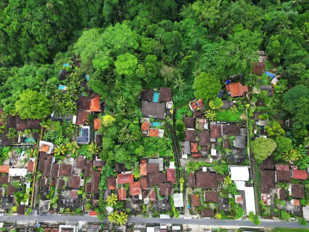 Envision Paradise: Secluded Freehold 70 Are Land in Ubud