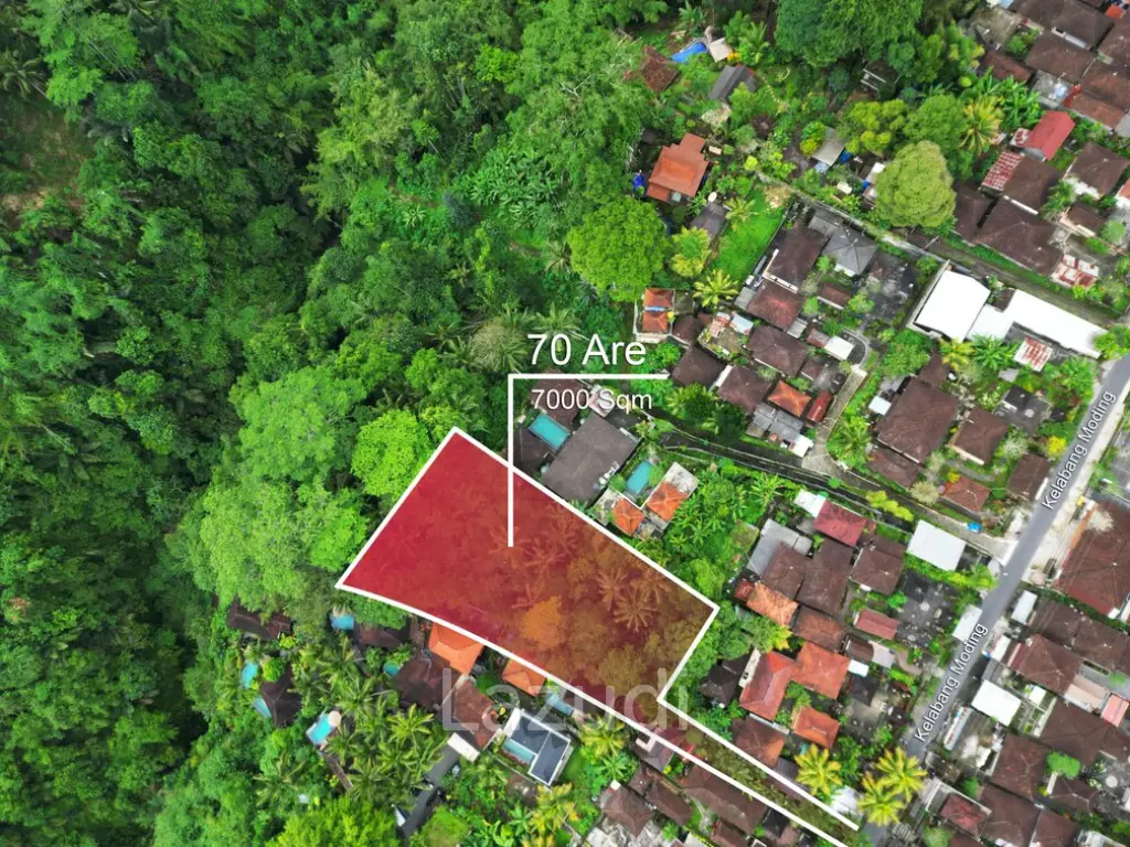 Unearth a Serendipitous Investment in Ubud’s 70 Are Leasehold Secreted Land
