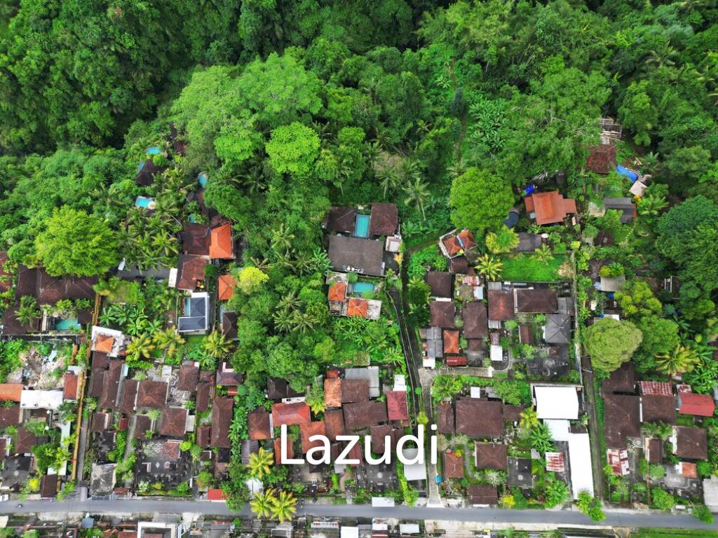Unearth a Serendipitous Investment in Ubud’s 70 Are Leasehold Secreted Land