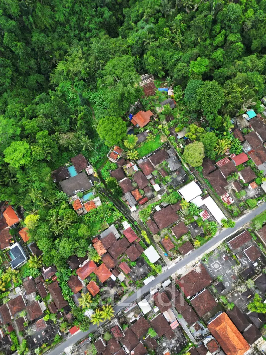 Unearth a Serendipitous Investment in Ubud’s 70 Are Leasehold Secreted Land