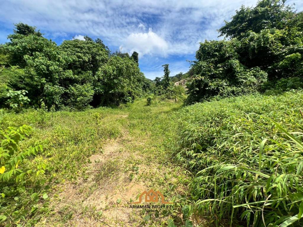 Secluded Land with Lush Greenery in Maret Ko Samui