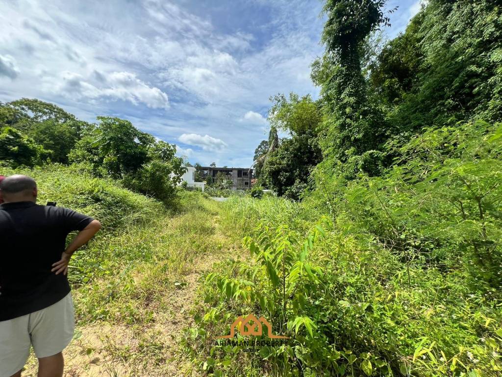 Secluded Land with Lush Greenery in Maret Ko Samui