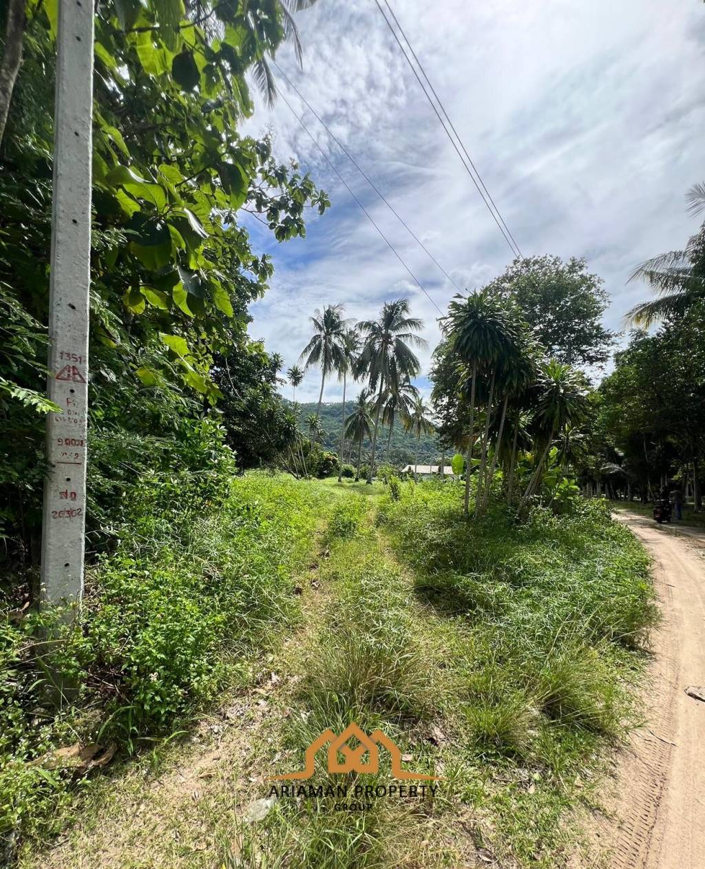 Lush 3200sqm Freehold Land in Maret Ko Samui